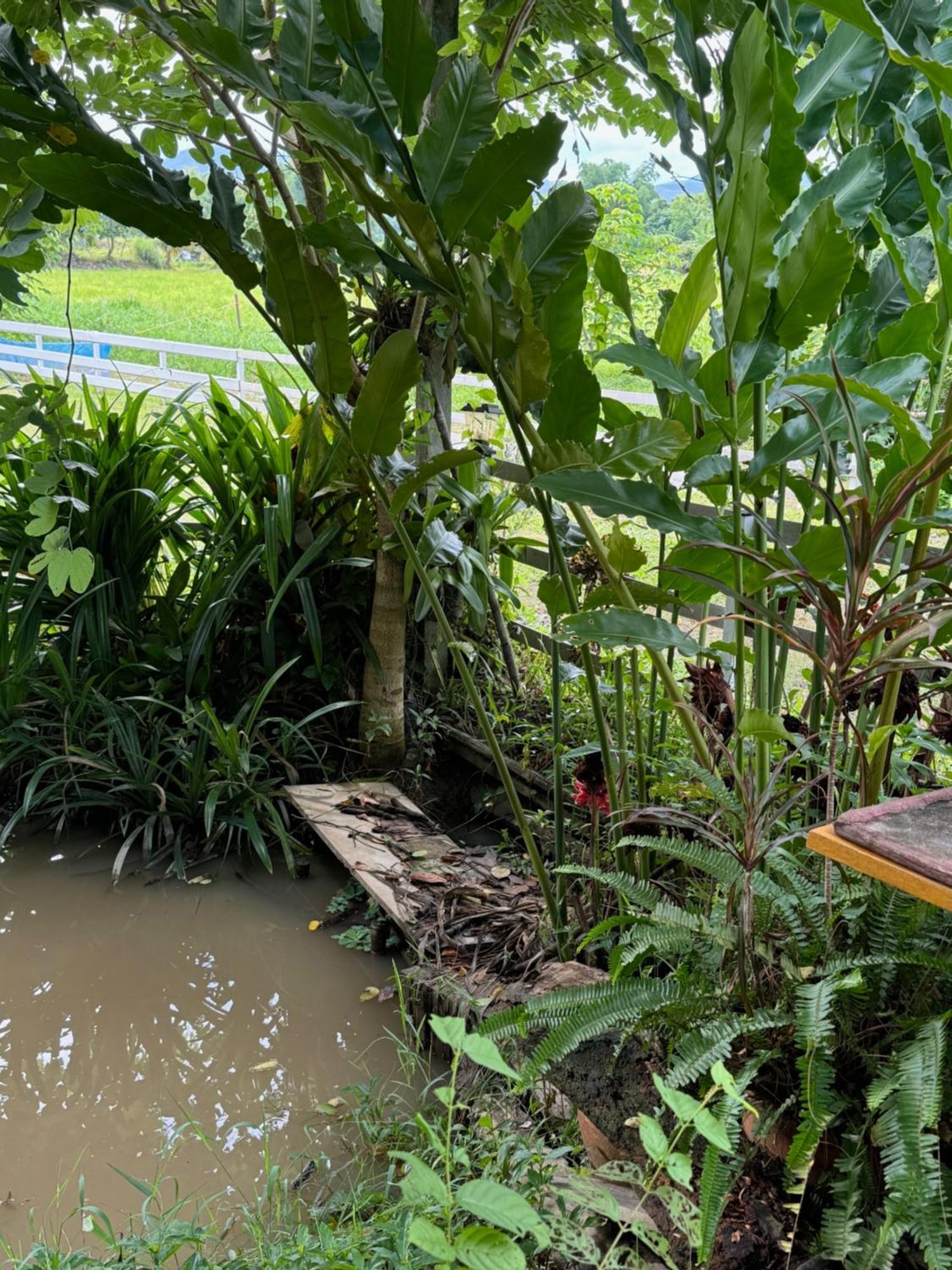 Rai Boonsom Apartment Phrao Bagian luar foto