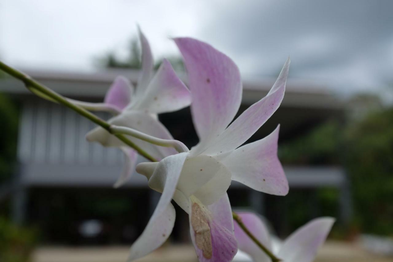 Rai Boonsom Apartment Phrao Bagian luar foto